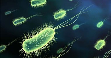 اكتشاف مادة جديدة للقضاء علي البكتيريا