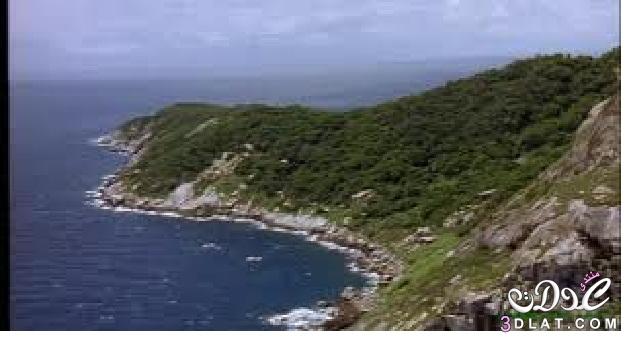 جزيرة الثعابين البرازيلية  جزيرة "إيلا كيمادا غراندي" البرازيلية