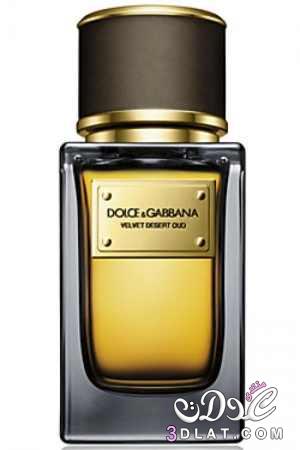 فلفيت ديزرت عود - Velvet Desert Oud Dolce & Gabbana .. العطر النسائي اللطيف
