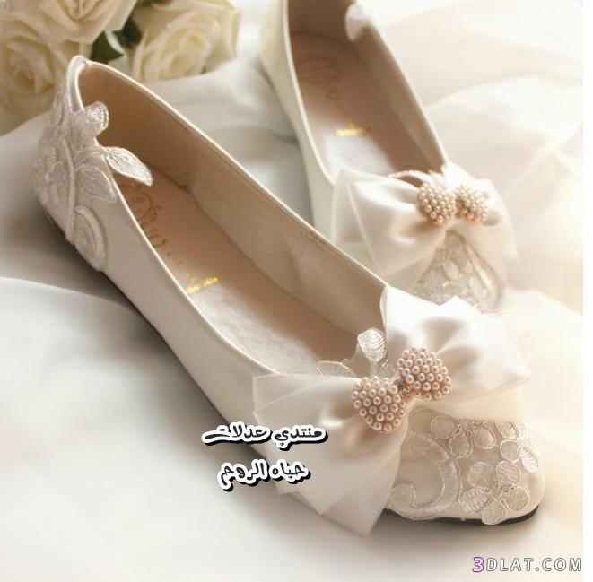 أحذيه للعروس , أجدد كولكشن من الأحذيه بتصاميم جديده ومبهره للعروس2024