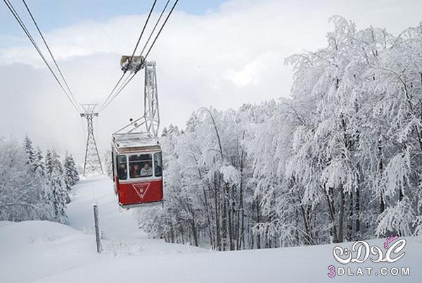 السياحه في تركيا في الشتاء هي ألأفضل , ماهي المناطق الثلجية في تركيا ؟