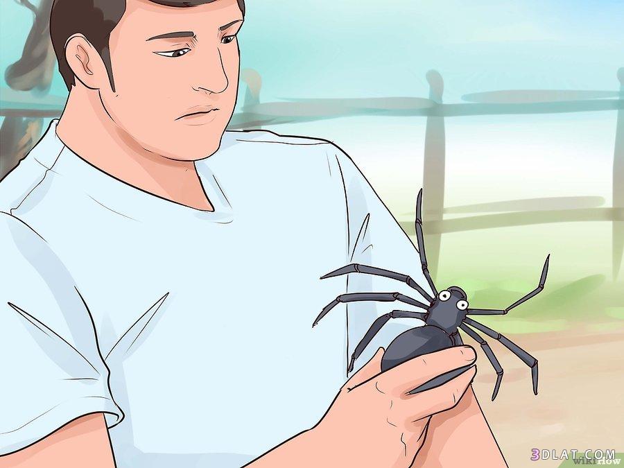 مرض فوبيا العناكب,كيفية التغلب على الخوف من العناكب,انواع المصابين بفوبيا ا