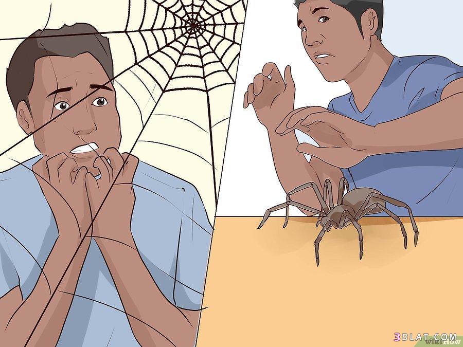 مرض فوبيا العناكب,كيفية التغلب على الخوف من العناكب,انواع المصابين بفوبيا ا