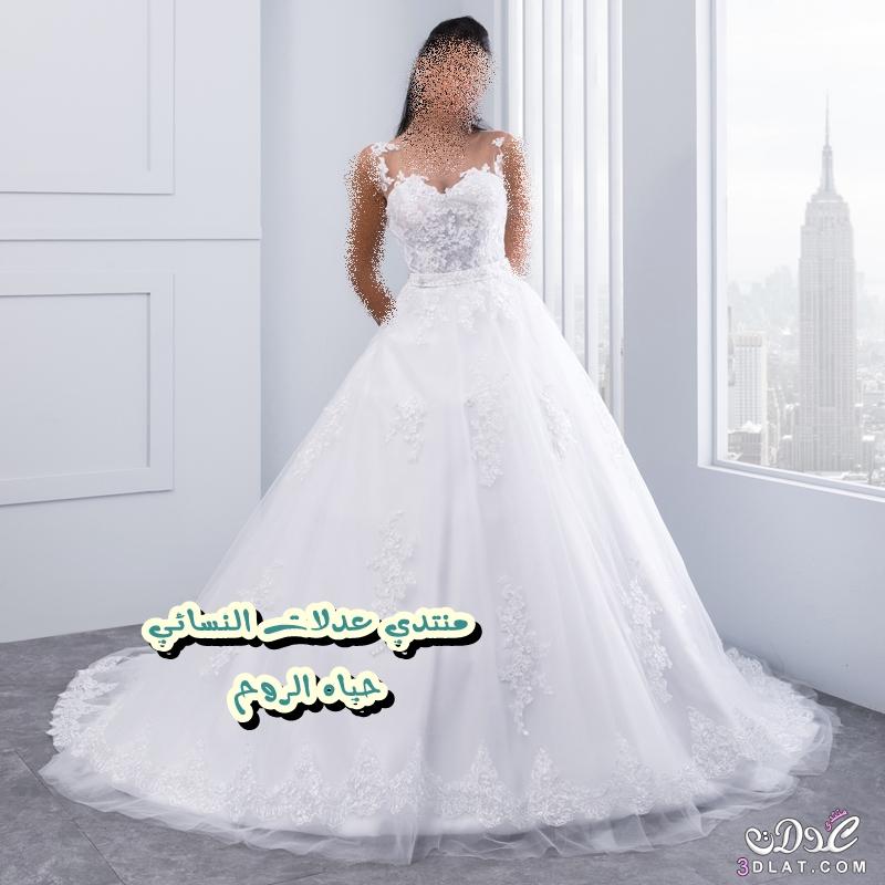 احدث موديلات وتصاميم فساتين الزفاف , Wedding Dresses 2024 , احدث صيحات فساتين الزفاف