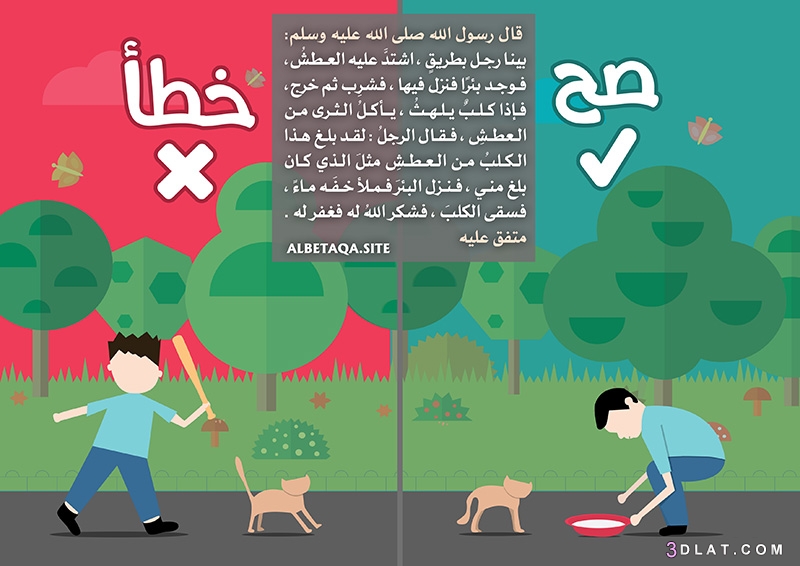 سلسلة صح وخطأ  مجموعة صور تعليمية للطفل المسلم يتعلم منها بعض الأقوال والأف