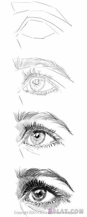 عيون مرسومة بالرصاص .طريقة رسم العين بالخطوات.رسومات عيون مختلفة بالخطوات20