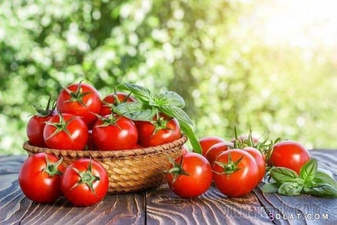 أضرار الطماطم على الرجيم  القيمه الغذائيه للطماطم نصائح لتجنب الطماطم عند ا