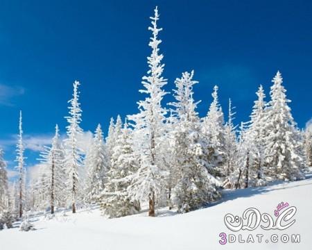 مناظر طبيعيه للشتاء,اروع مناظر طبيعيه لثلوج معبره عن الشتاء,خلفيات للكمبيوتر عن الشتا