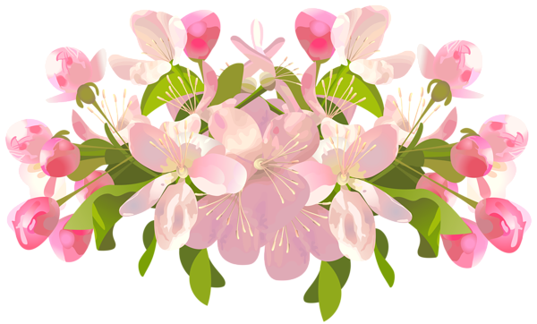 and, branch, butterflies, flowers, pink, png, spring, with