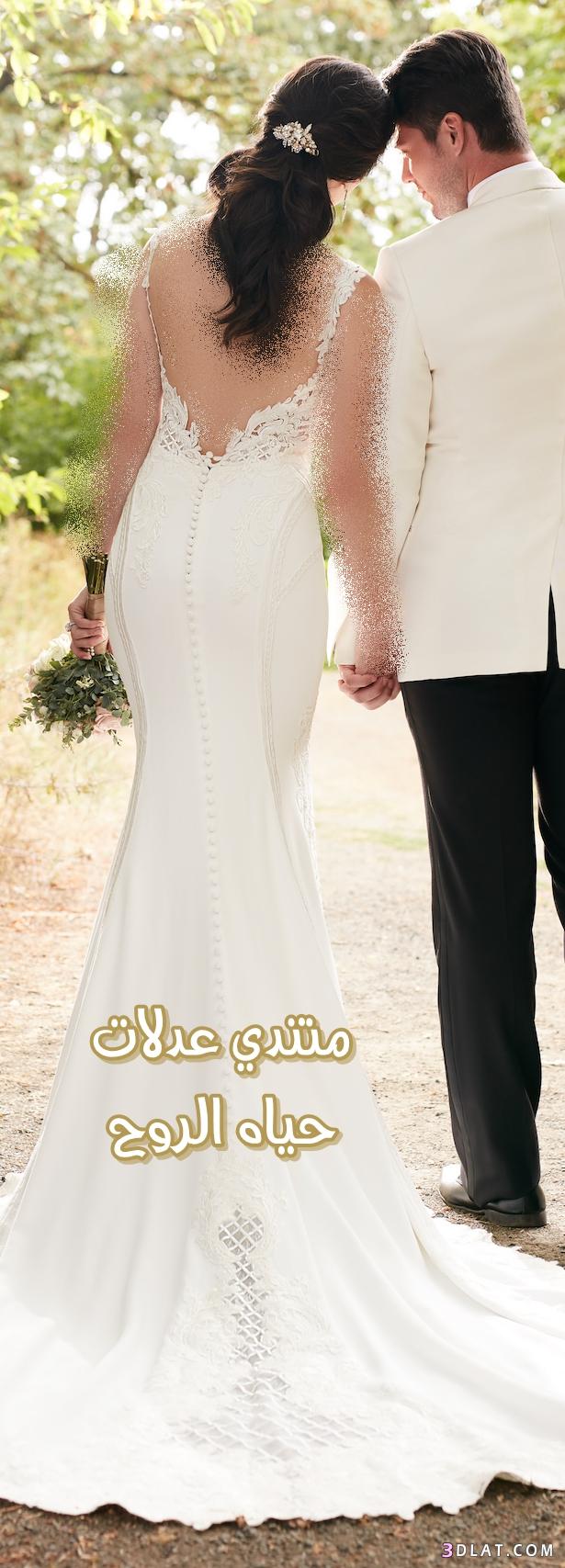 صور فساتين زفاف 2024 , احدث تصاميم فساتين الزفاف لربيع 2024 , حصري