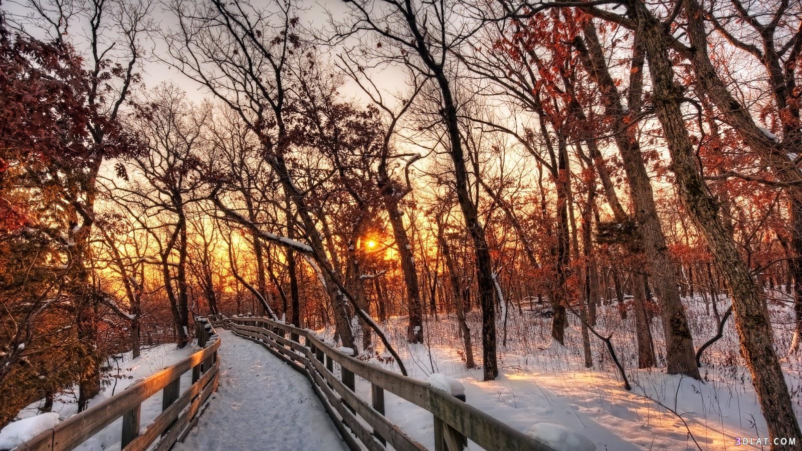 صور مناظر طبيعية للشتاء 2024 جميلة - beautiful winter landscapes Hd