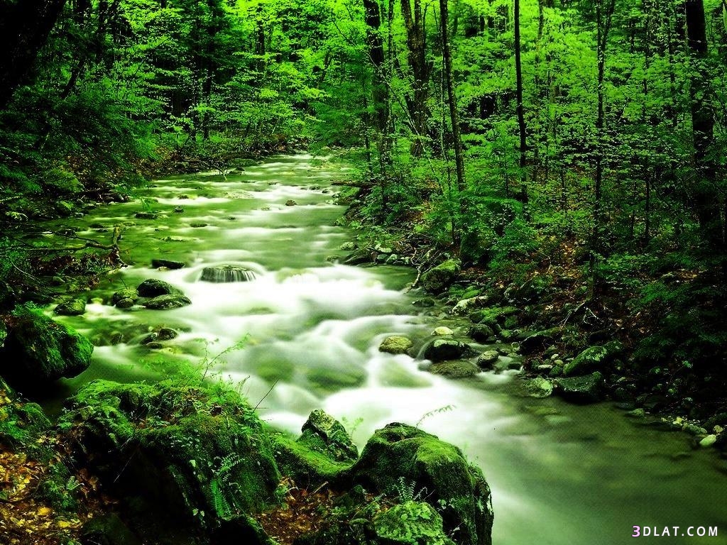 صور الطبيعه الخضراء ، صور شلالات طبيعية ، خلفيات الطبيعه الخضراء