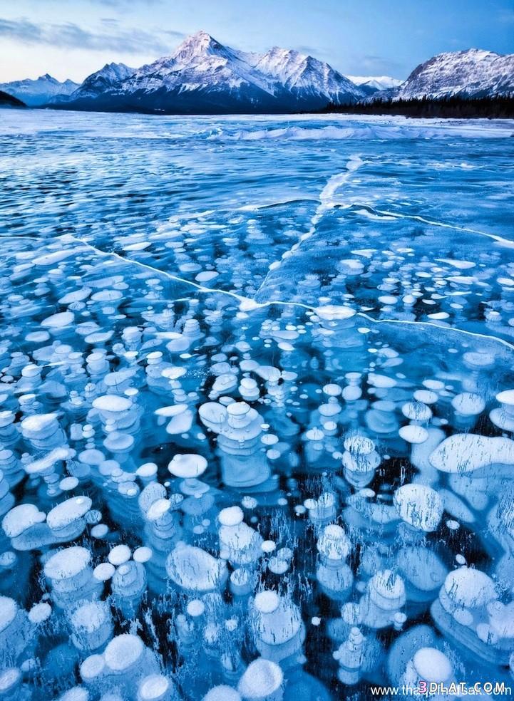 اجمل الصور لجليد القطب ، صور للجليد عندما يمتزج الفن بالطبيعيه 2024