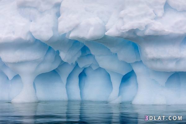 اجمل الصور لجليد القطب ، صور للجليد عندما يمتزج الفن بالطبيعيه 2024
