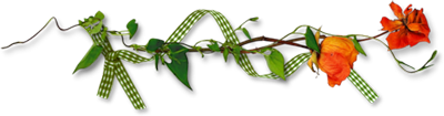 نبات  الياسمين ذو الرائحة الجميلة المريحة وصفه وأهميته الطبية وكيفيه زراعته