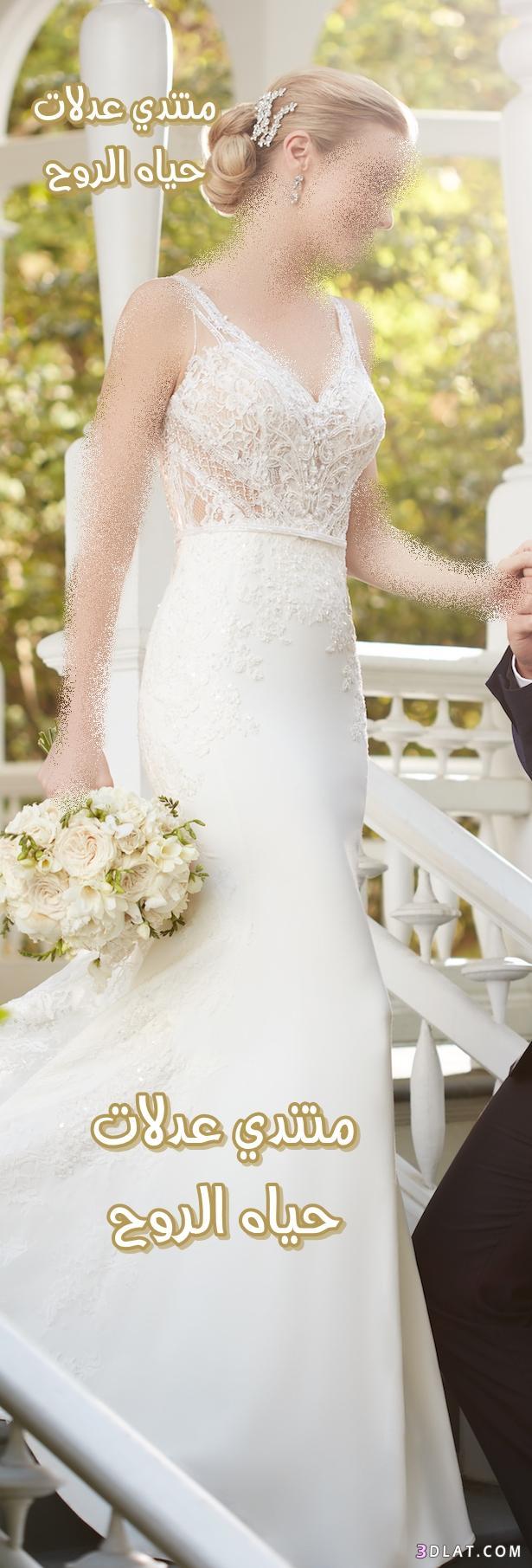 صور فساتين زفاف 2024 , احدث تصاميم فساتين الزفاف لربيع 2024 , حصري