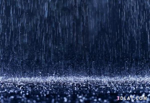 صور طبيعيه لسقوط الامطار شتاء 2024، اجمل المشاهد لسقوط المطر