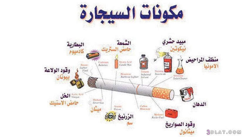 هل التدخين من المفطرات في رمضان وطرق الإقلاع عنه ،حكم التدخين وكيفية الخلاص