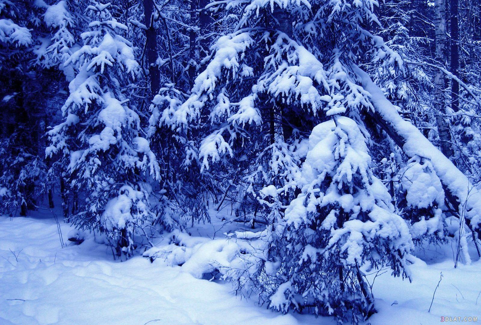 صور طبيعية للثلج2024 اجمل صور للجليد,صور شتاء 2024 صور خلابة للشتاء