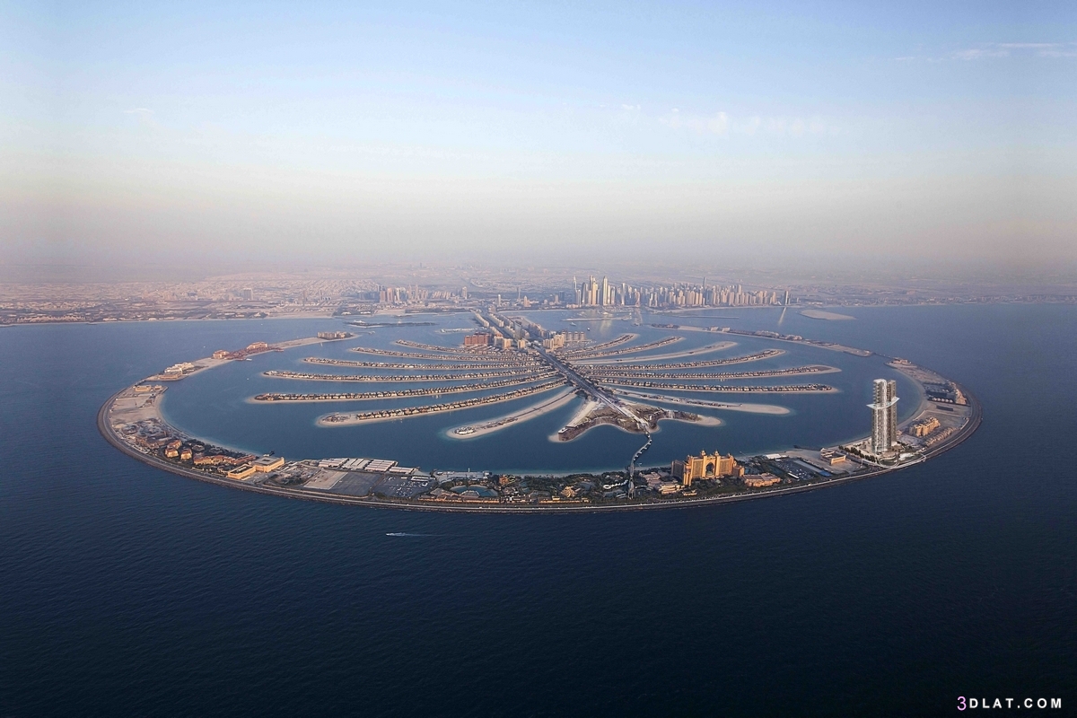 نبذه عن جزيرة النخلة ، تعرف على  جزيرة النخلة في دبي 2024