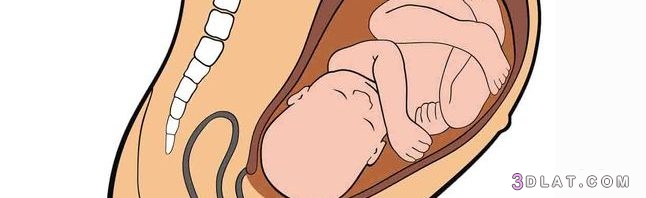 اعراض نزول الجنين في الحوض,أهم أعراض الولادة