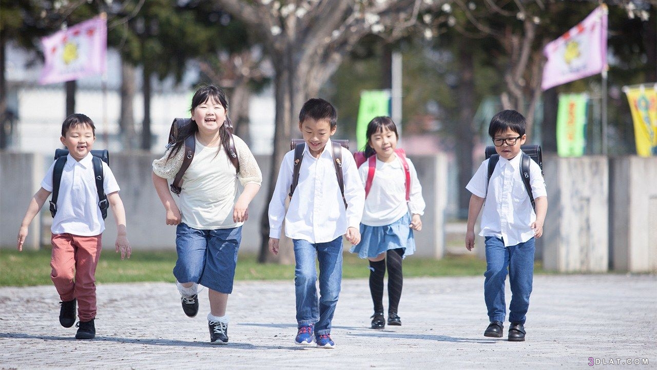 7 أسرار للتعليم في اليابان جعلته الأكثر تميزًا في العالم، نظام التعليم في