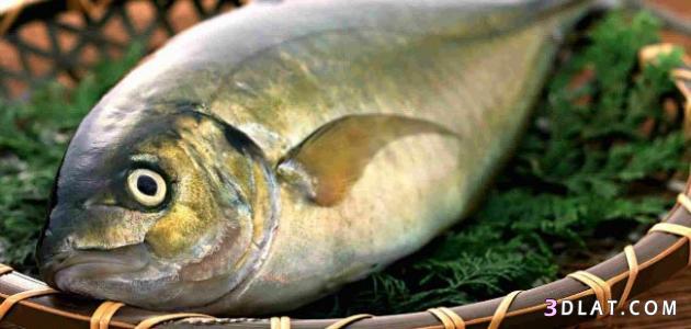 كيفيه معرفه السمك الطازج, فوائد عامه للسمك