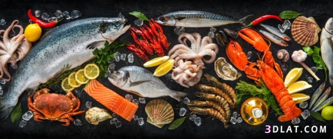 تعرف على أفضل المأكولات البحرية حول العالم وفوائدها