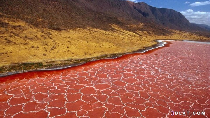 من الغرائب بحيرة الدماء الحمراء في تنزانيا، تعرفي على سبب جعل الحيرة بلون
