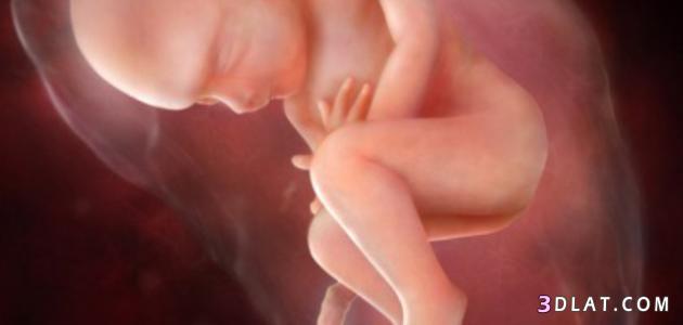 كيفيه معرفه نوع الجنين من الحركه, اعراض الحمل بأنثي واعراض الحمل بذكر