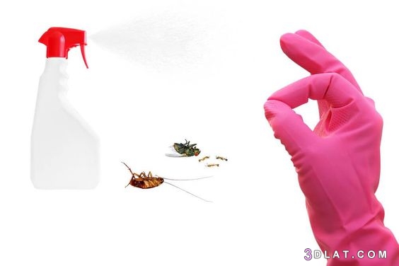 طرق حماية المنزل من الحشرات،كيف تحمي بيتكِ من الحشرات