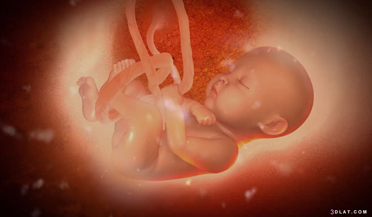 ما هو السائل الامينوسي ؟ وما أهميته وتأثيره  على حياة الجنين؟