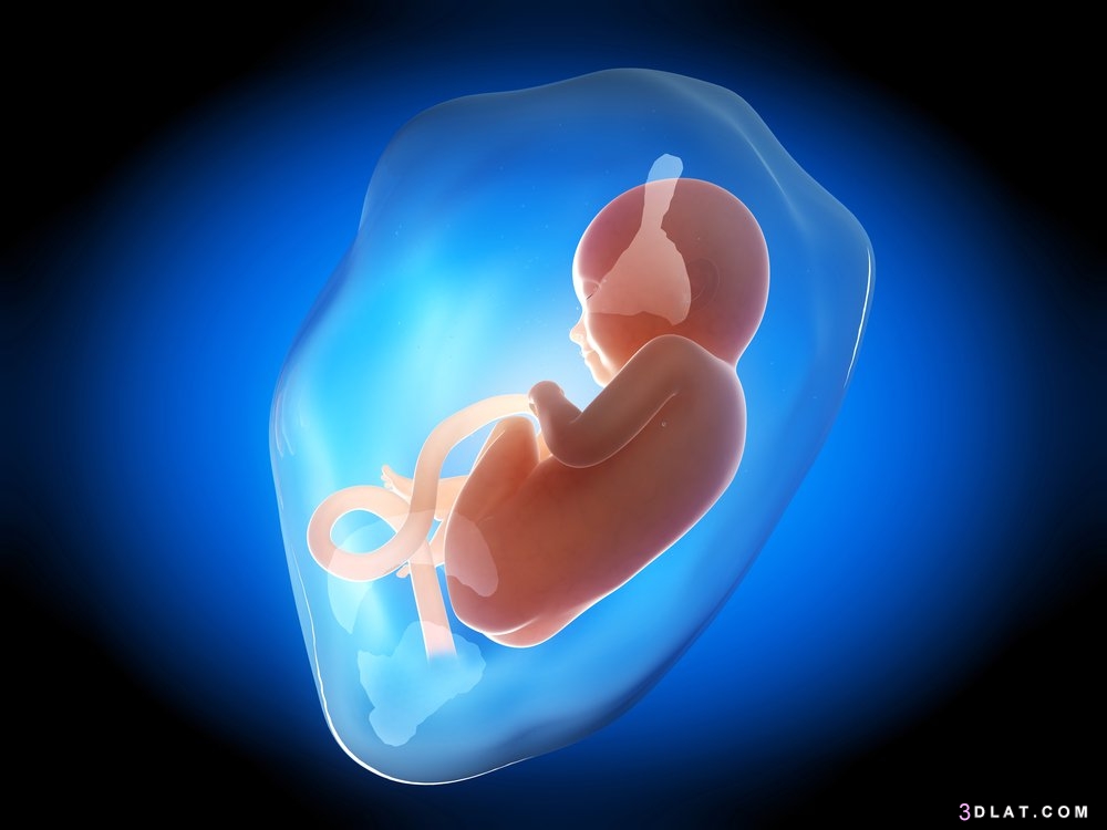 ما هو السائل الامينوسي ؟ وما أهميته وتأثيره  على حياة الجنين؟