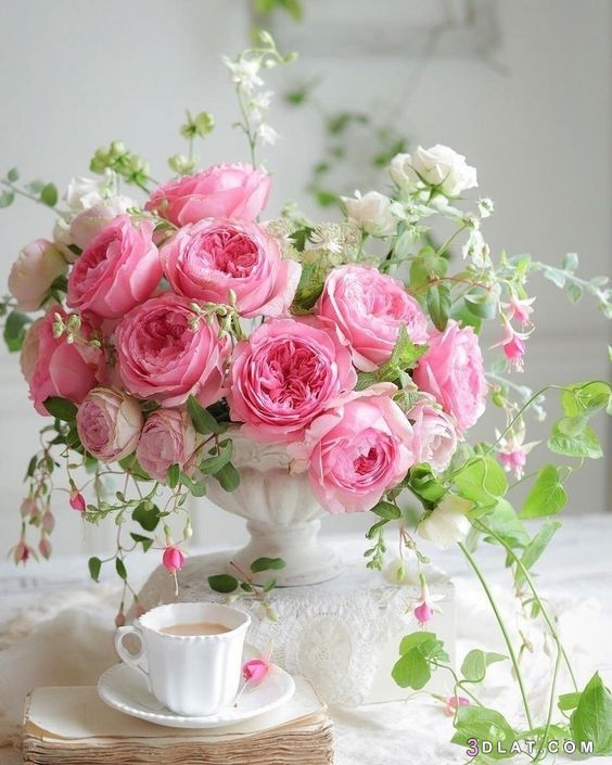 أجمل الورود والأزهار،أجمل الورود المتنوعة، ورود رائعه اجمل الورود والازهارا