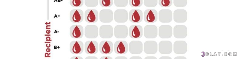 انواع فصائل الدم النادرة,ما هو أندر فصيلة دم,ما الذي يحدد فصيلة الدم