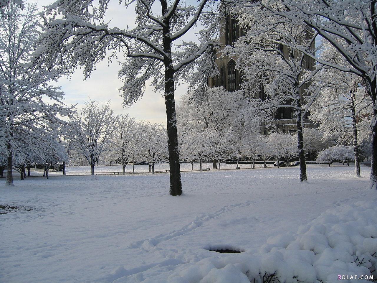 صور مُعبرة ورائعة عن أمطاروعواصف وثلوج الشتاء ،صورللطبيعة في فصل الشتاء 201