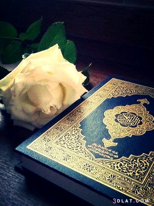 فوائد سماع القرآن عند النوم..7 فضائل عظيمة اغتنمها