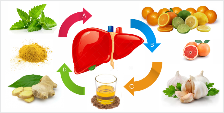 الكبد وأهميته ما هي الأطعمة التي تحمي الكبد من الأمراض علاج تنظيف الكبد من