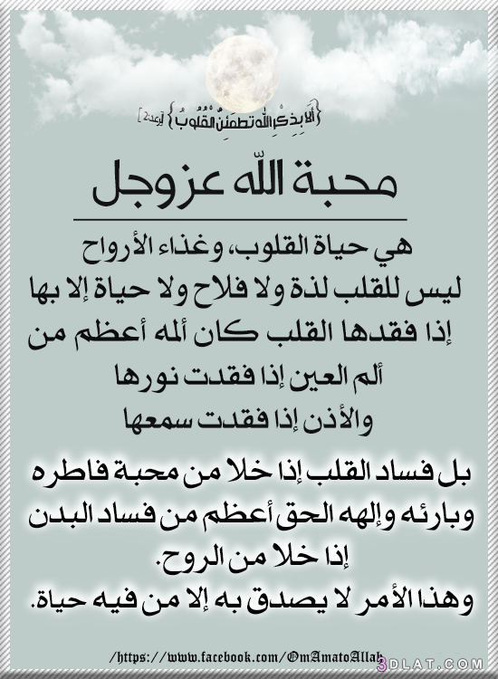 حب الله وذكره هو سبب لحياة القلب