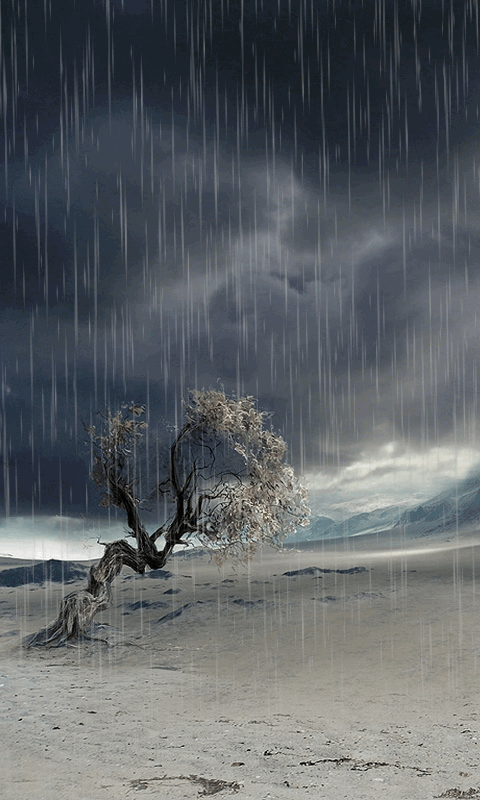 صورمتحركة مُعبرة ورائعة عن أمطاروعواصف وثلوج الشتاء ،صورللطبيعة في فصل الشت
