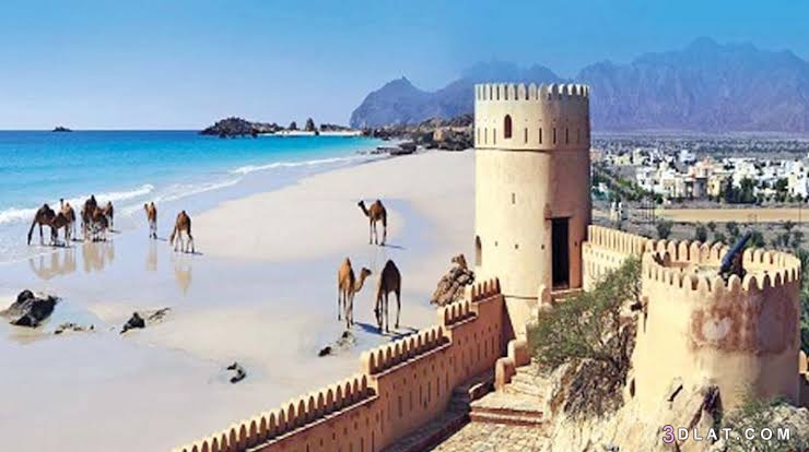 سلطنة عمان ،معلومات عن التأشيرات في عمان ،المهن المعتمدة لدخول سلطنة عمان م