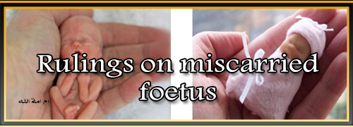 Rulings on miscarried foetus