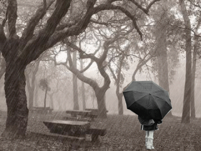 أجمل صور الأمطار المتحركة , مناظر طبيعية متحركة , صور أمطار متحركة