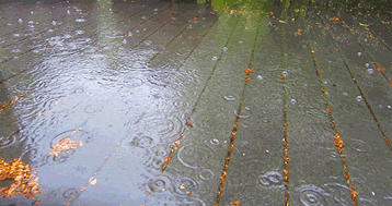 أروع صور الأمطار 2024  ,  أجمل  صور طبيعية متحركة , أمطار متحركة