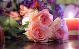 صور ورد جميل hd 2024 أجمل صور أزهار وورود رومانسية طبيعية ..     صور ورود ر