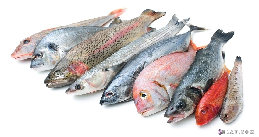 فوائد السمك وأضراره،أضرار السمك للحامل،حساسية السمك، أضرار السمك النيئ