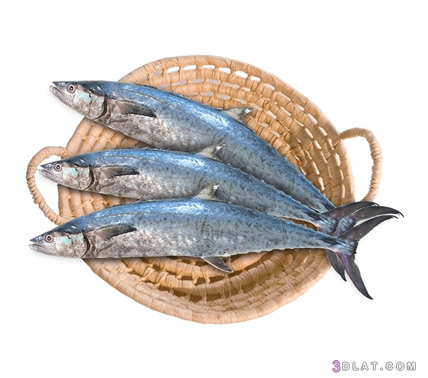 فوائد السمك وأضراره،أضرار السمك للحامل،حساسية السمك، أضرار السمك النيئ