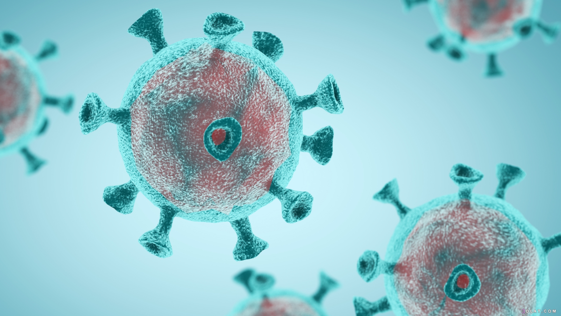 5 فروق بين فيروس كورونا والأنفلونزا ،كيف ينتقل فيروس كورونا للإنسانالفرق بي