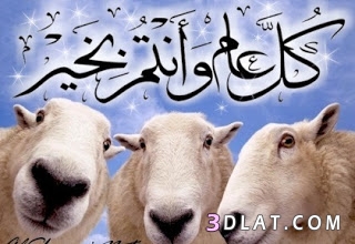 اقوى صور العيد ، خلفيات جديده لعيد الاضحي 2025