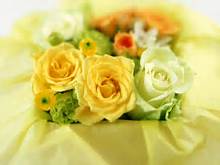 صور ورد جميل hd 2024 أجمل صور أزهار وورود رومانسية طبيعية  صور ازهار الربيع